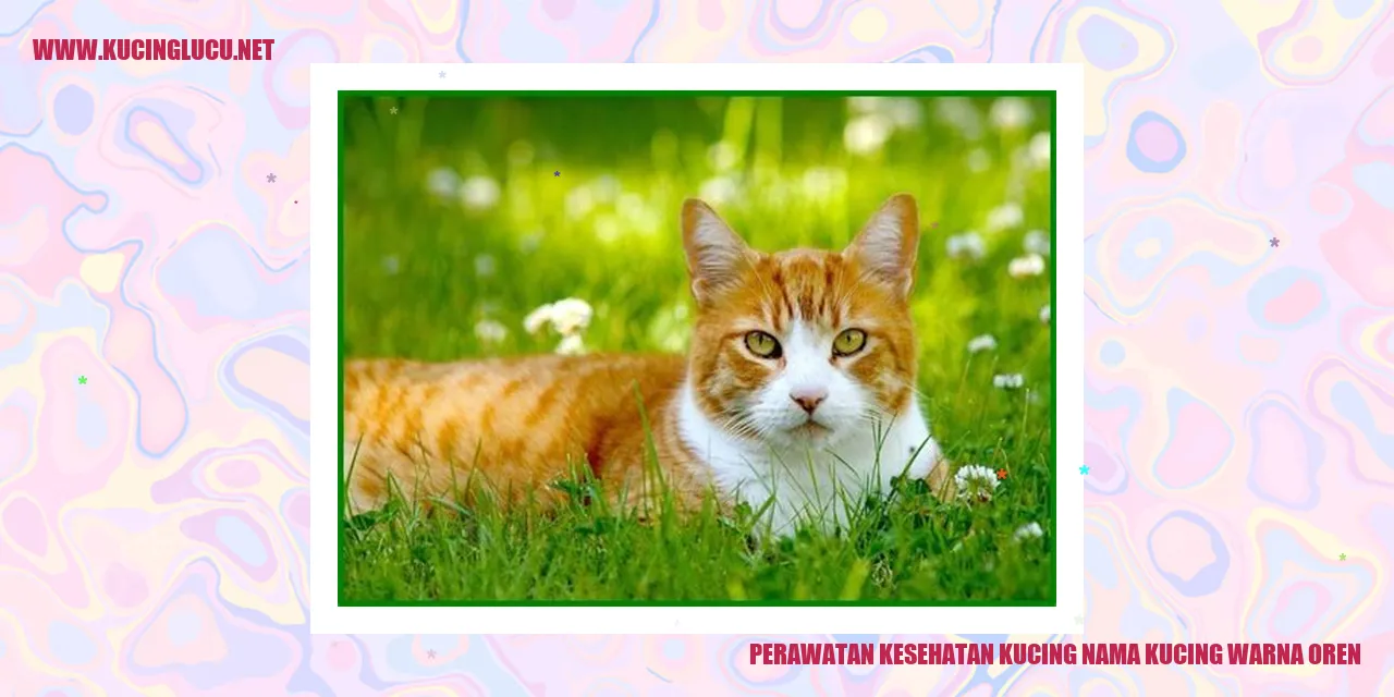 Gambar kucing oren