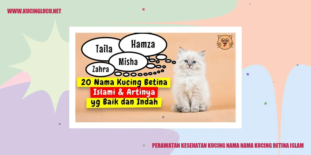 Gambar Kucing Betina Islam
