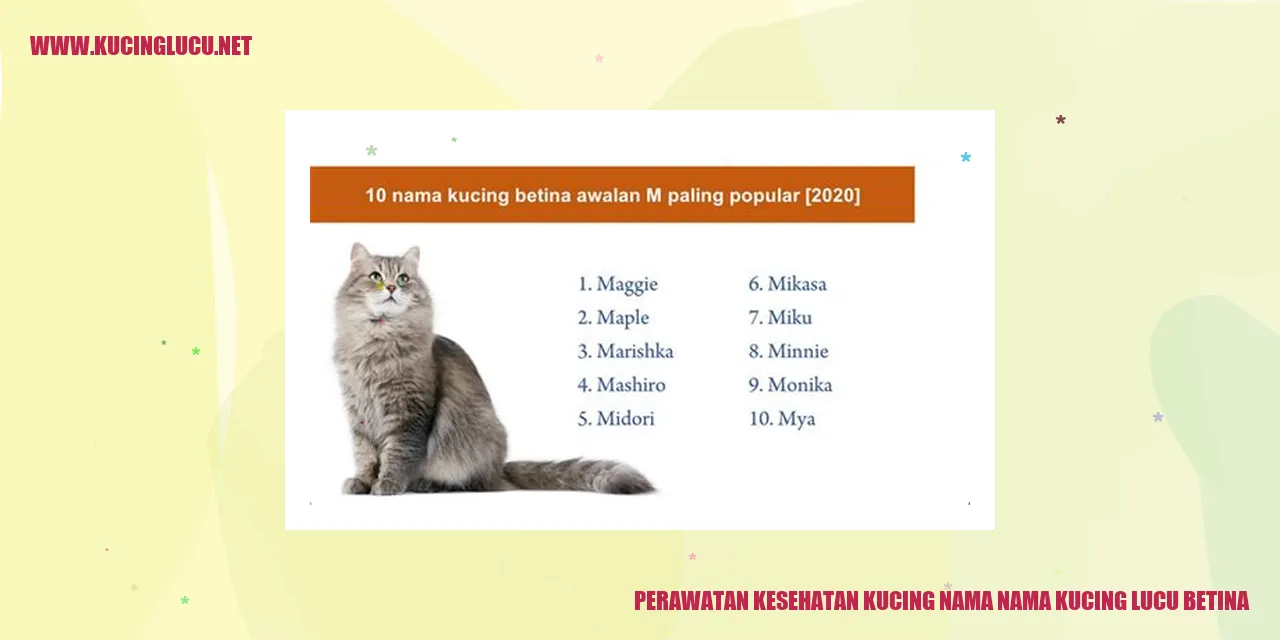 Perawatan Kesehatan Kucing