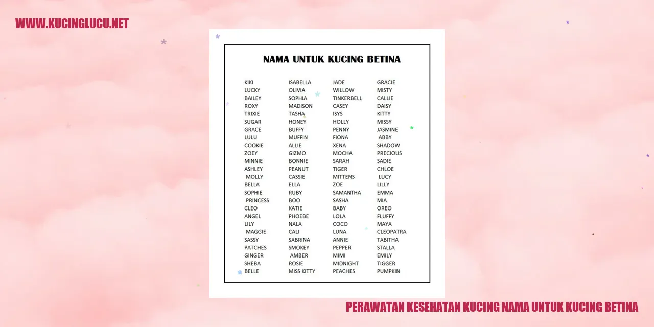 Perawatan Kesehatan Kucing Betina
