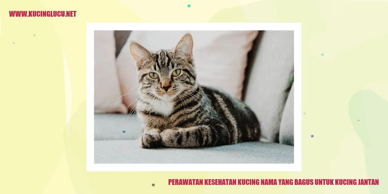 Perawatan Kesehatan Kucing
