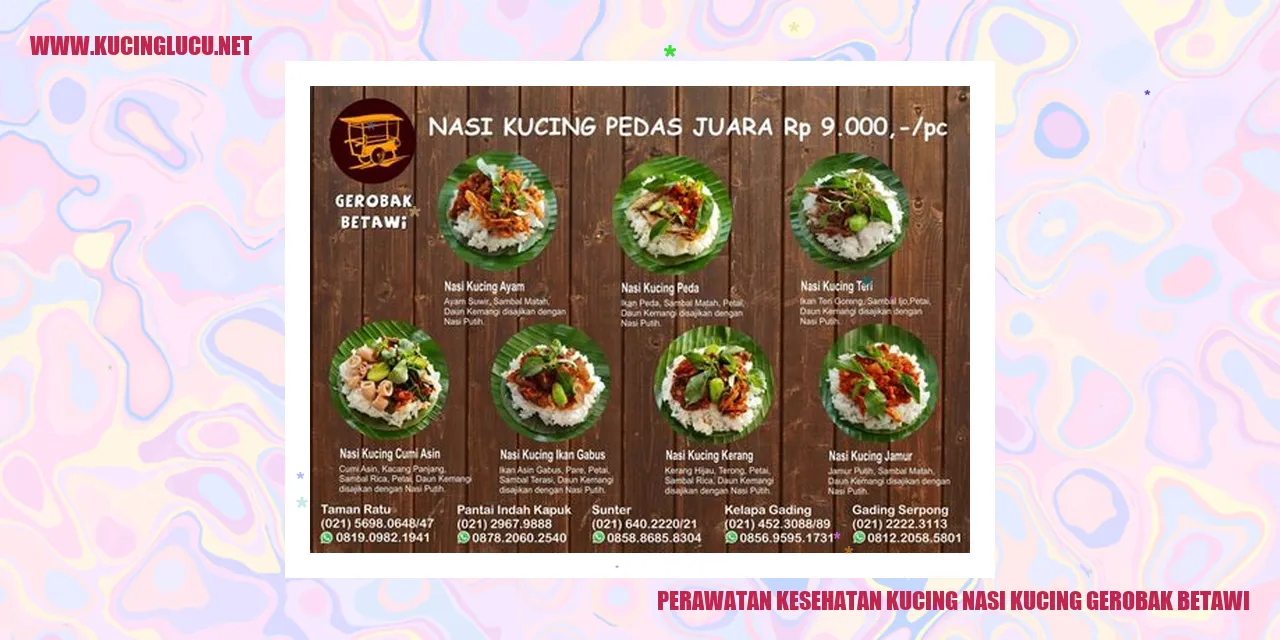 Perawatan Kesehatan Kucing