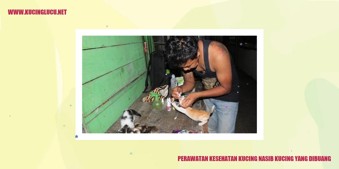 Perawatan Kesehatan Kucing nasib kucing yang dibuang