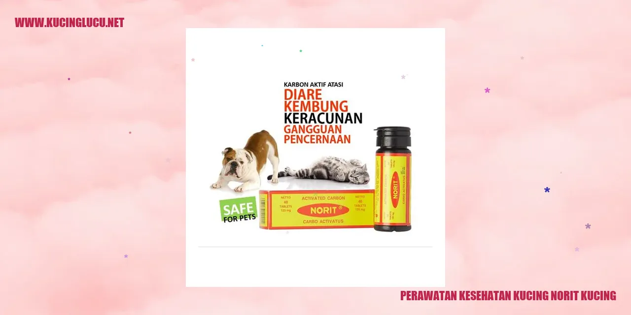 Gambar tentang Perawatan Kesehatan Kucing