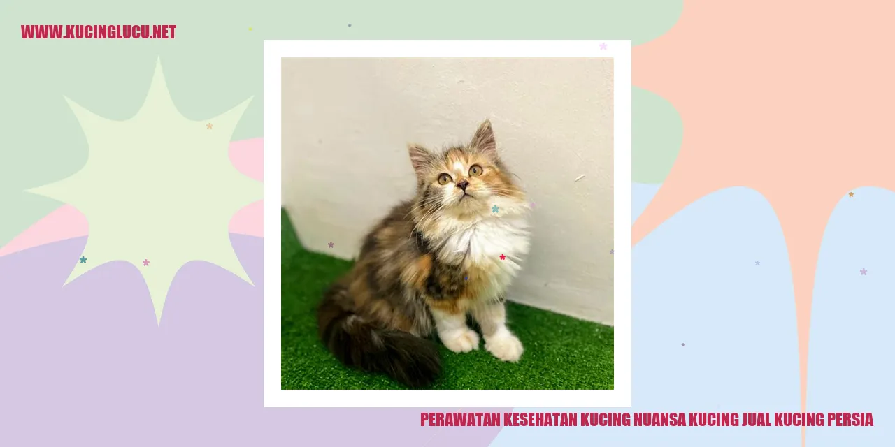 Perawatan Kesehatan Kucing