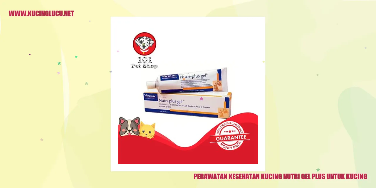 Perawatan Kesehatan Kucing nutri gel plus untuk kucing