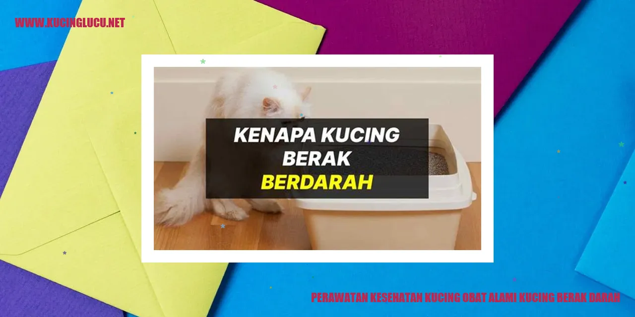 Perawatan Kesehatan Kucing: Obat Alami untuk Kucing Berak Darah