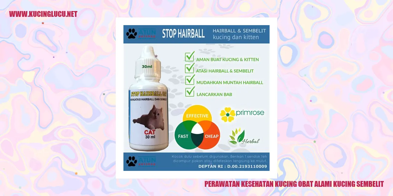 Perawatan Kucing Sembelit