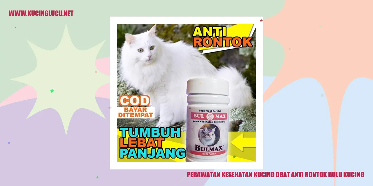 kucing dengan bulu yang sehat