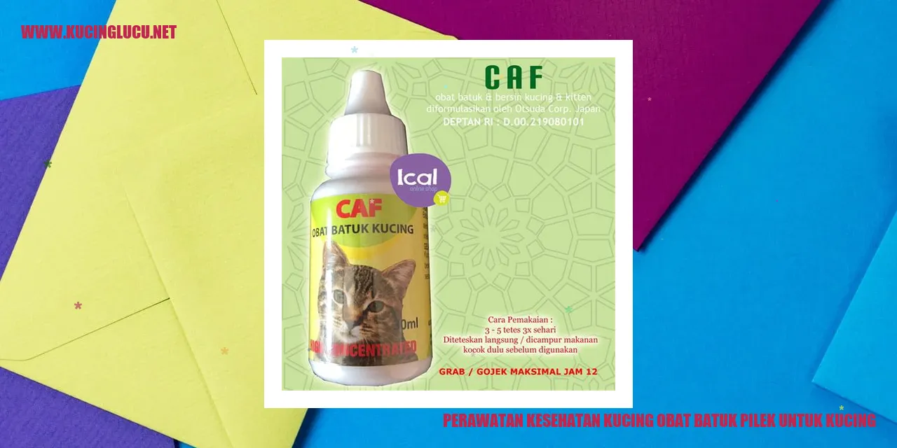 Perawatan Kesehatan Kucing