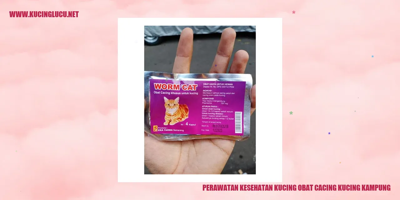gambar kucing sehat
