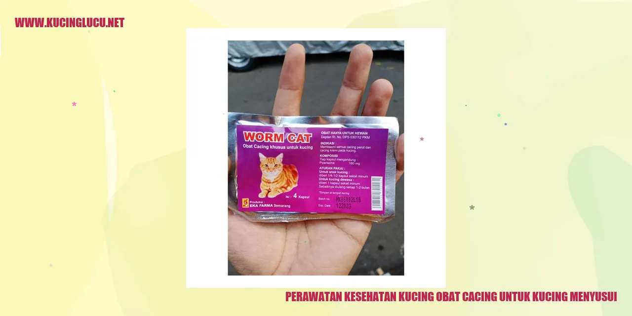 Kucing Menyusui