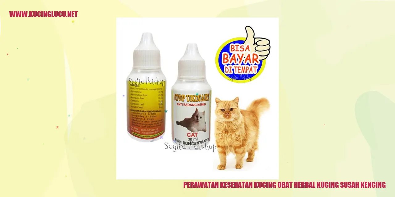 Perawatan Kesehatan Kucing obat herbal kucing susah kencing