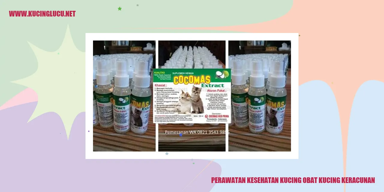 Perawatan Kesehatan Kucing