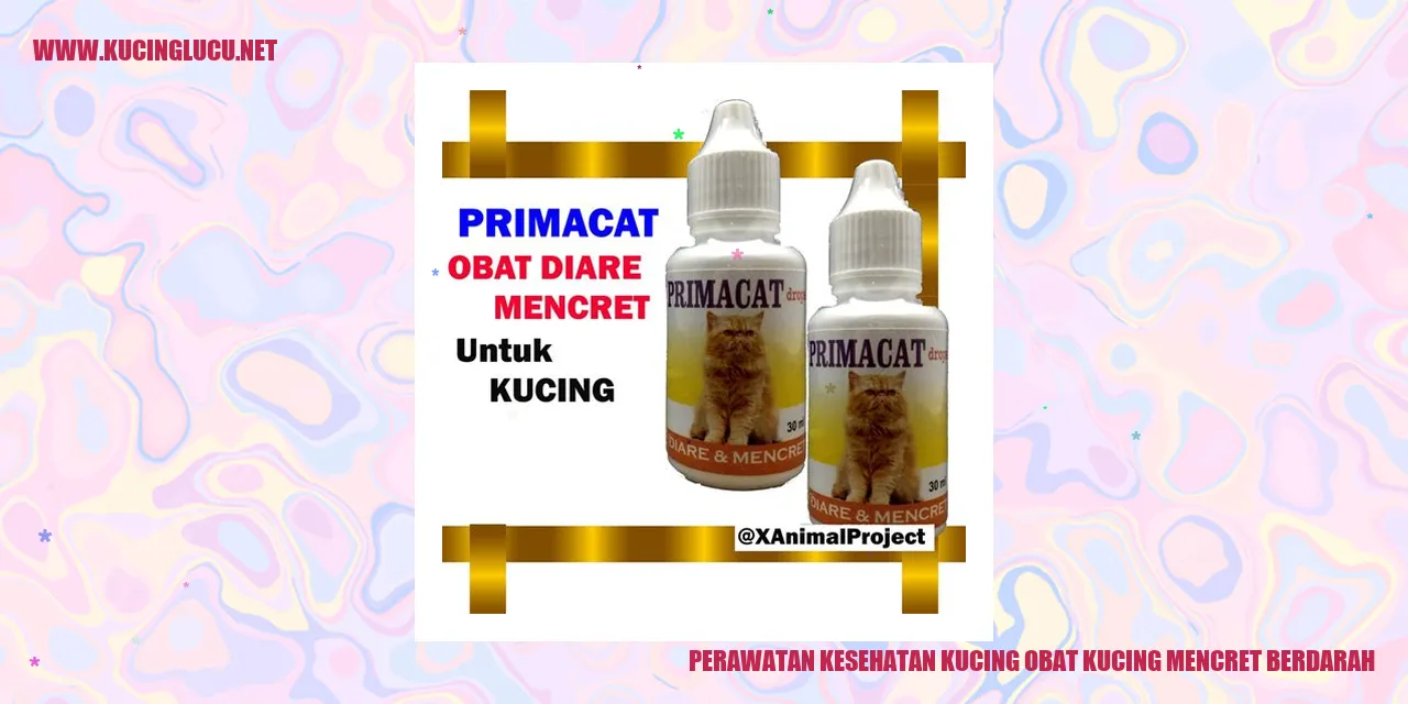 Gambar Perawatan Kesehatan Kucing