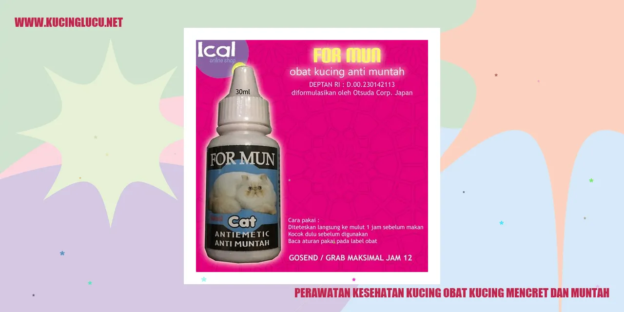 Perawatan Kesehatan Kucing