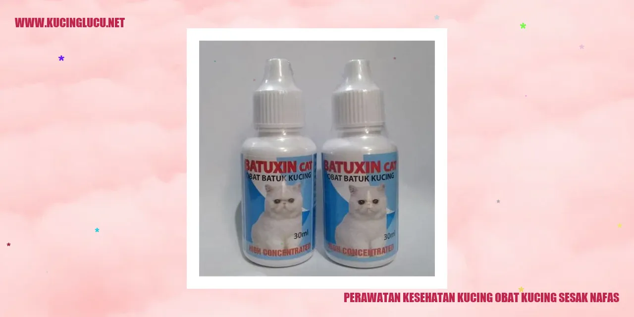 Perawatan Kesehatan Kucing: Obat Kucing Sesak Nafas