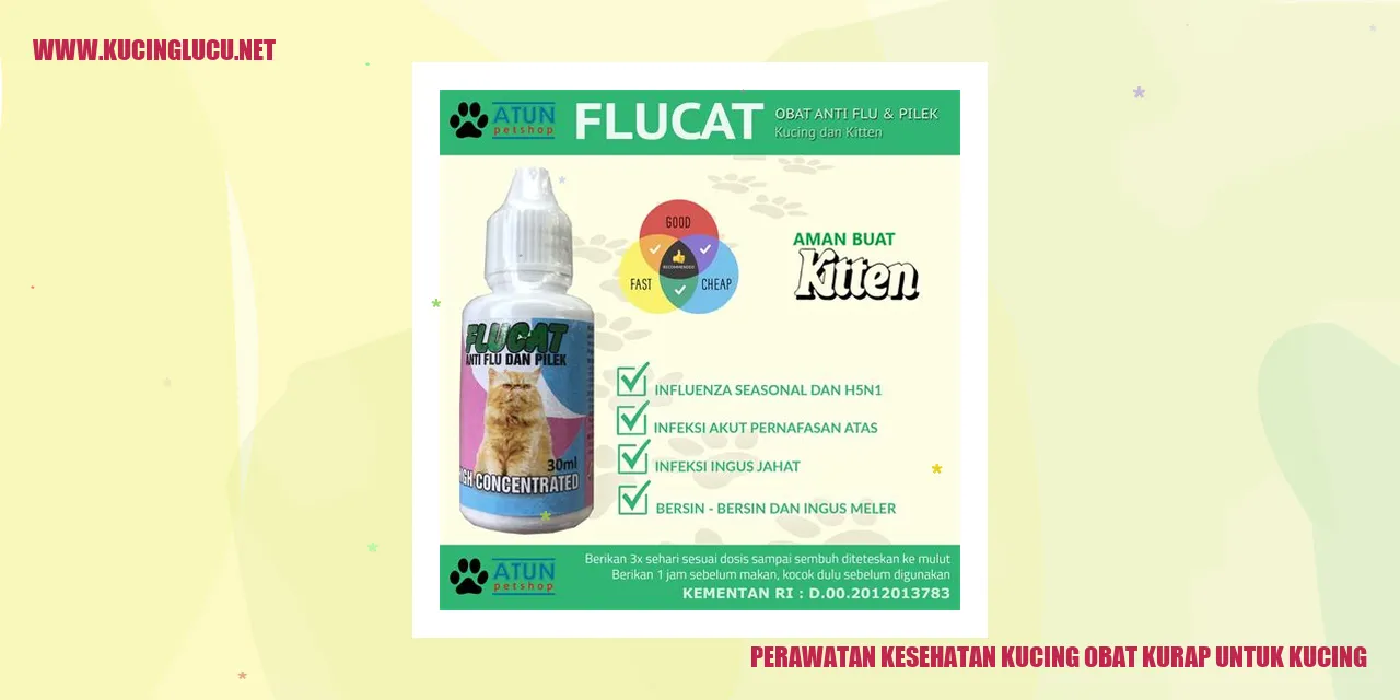 Gambar kucing