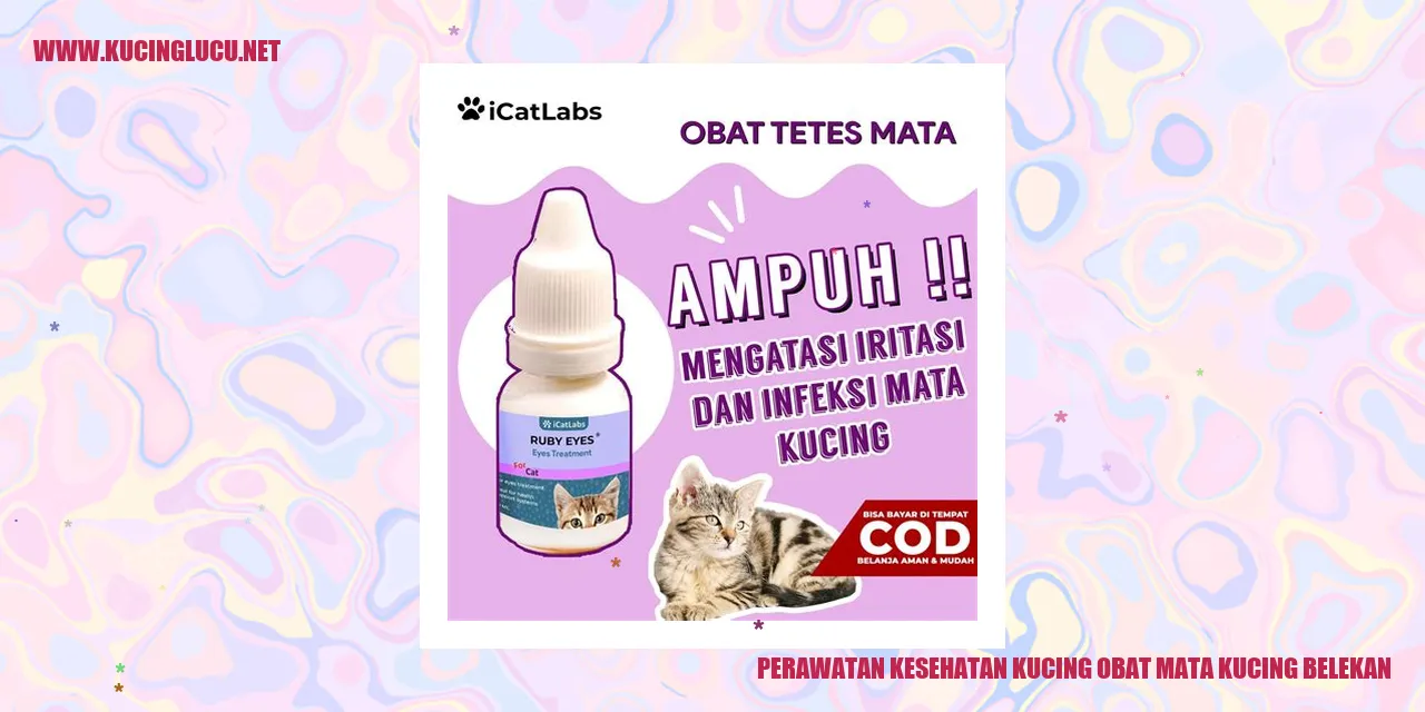 Gambar kucing belekan