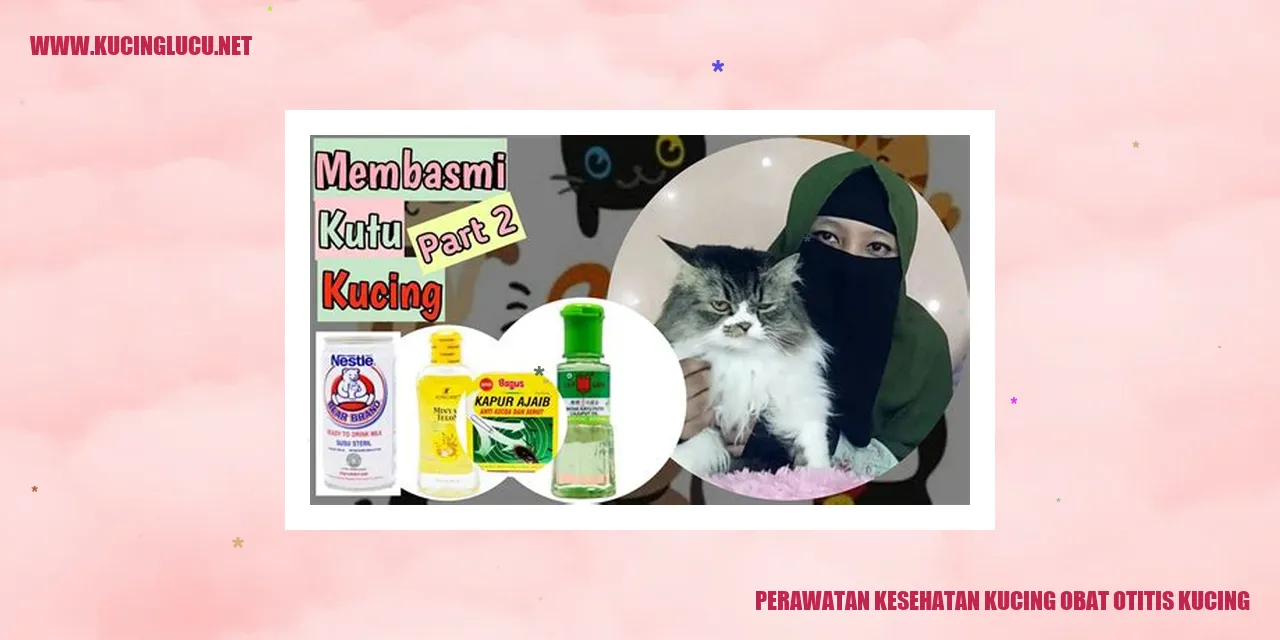 Perawatan Kesehatan Kucing obat otitis kucing