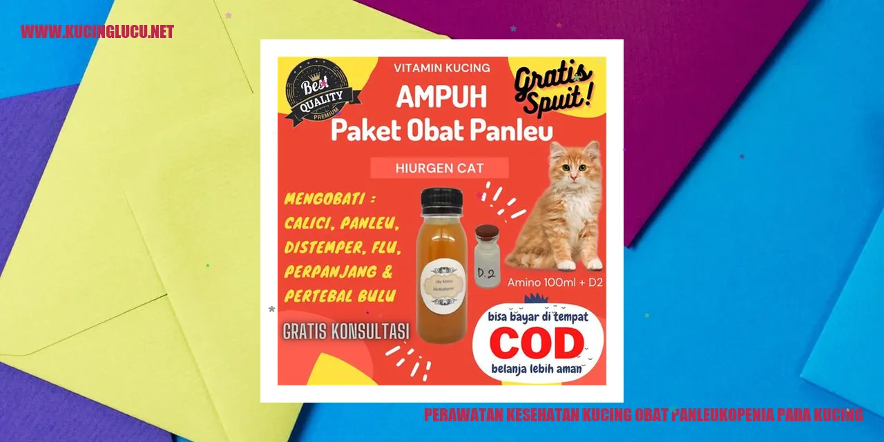 Kucing Sehat