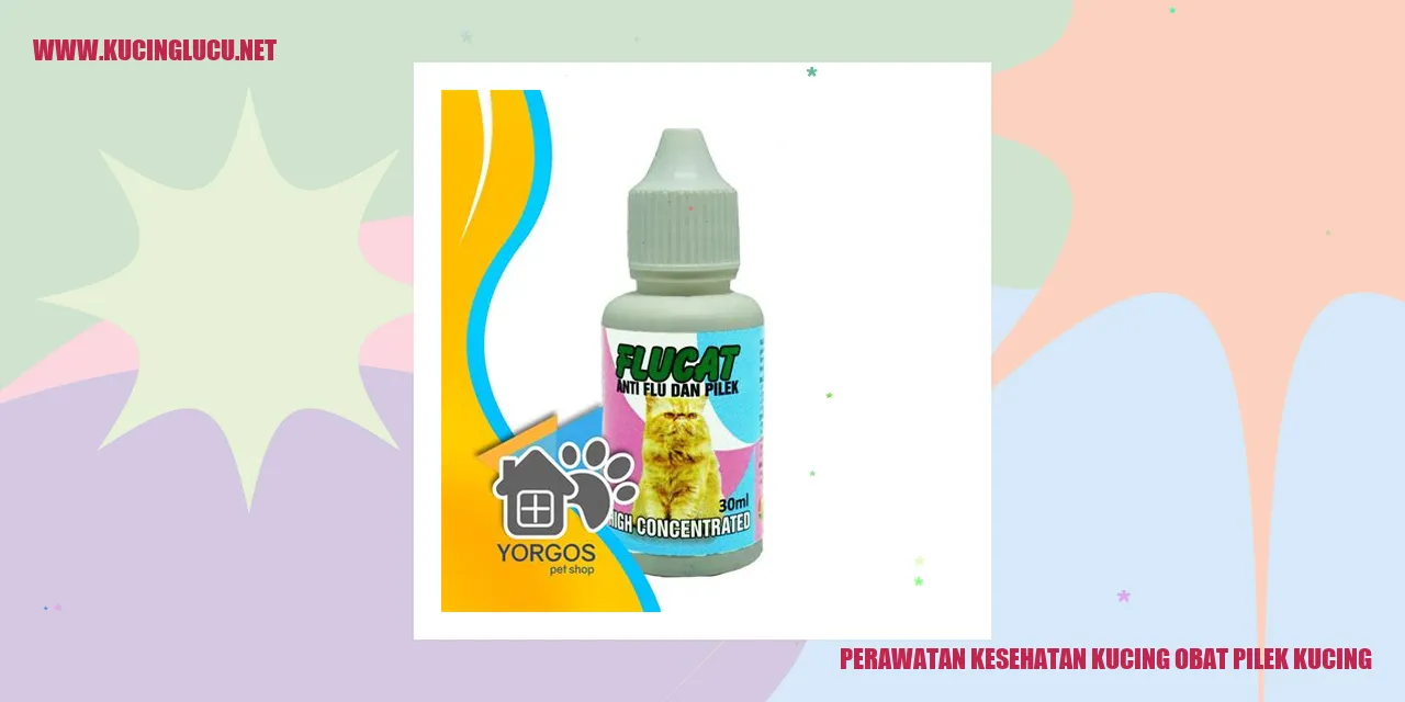 Perawatan Kesehatan Kucing