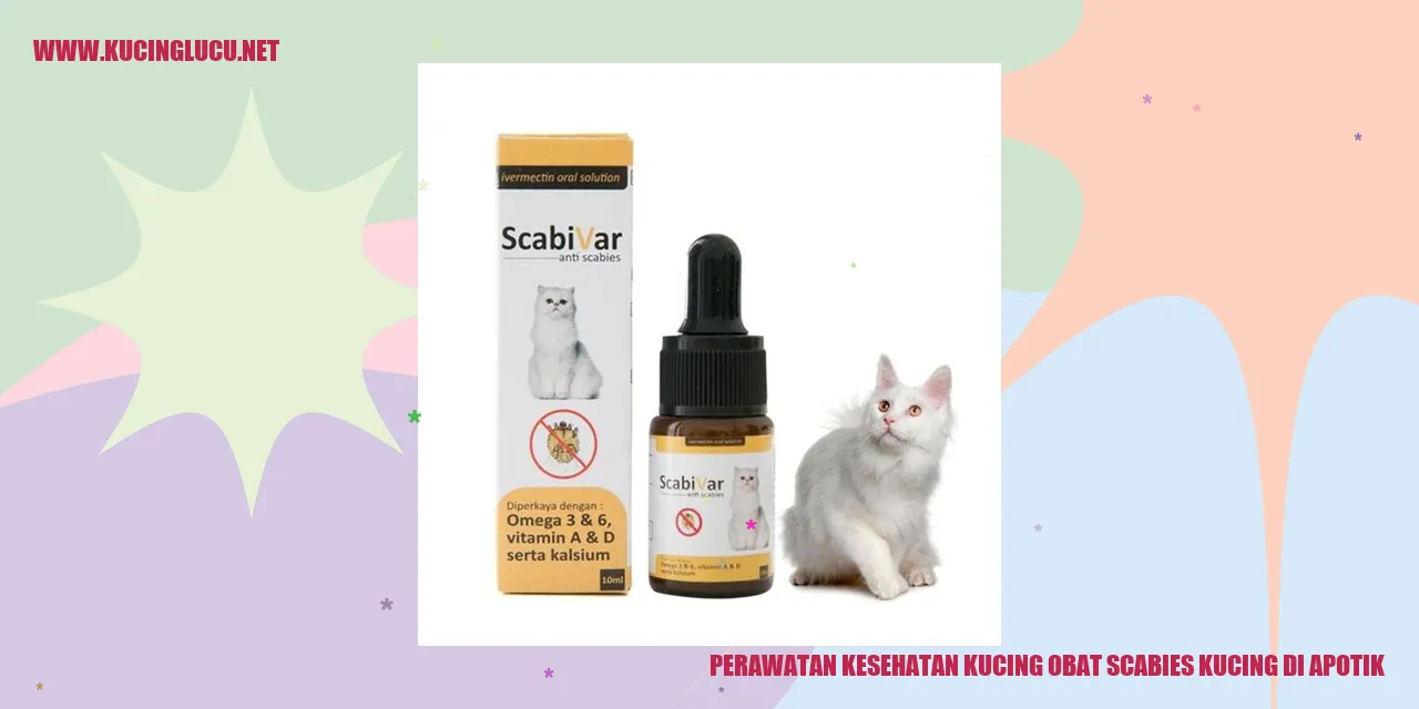 Gambar kucing sehat