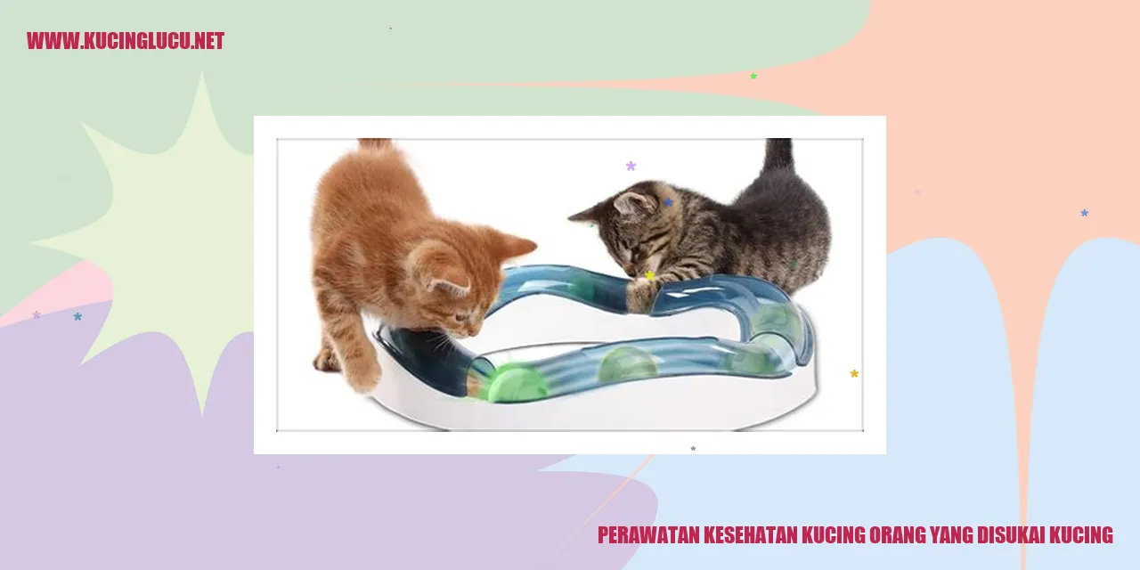 Perawatan Kesehatan Kucing