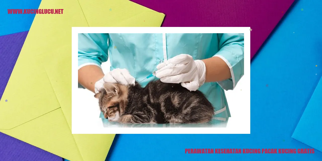 Perawatan Kesehatan Kucing Pacak secara Gratis