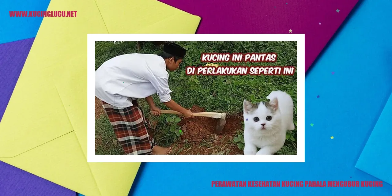 Perawatan Kesehatan Kucing