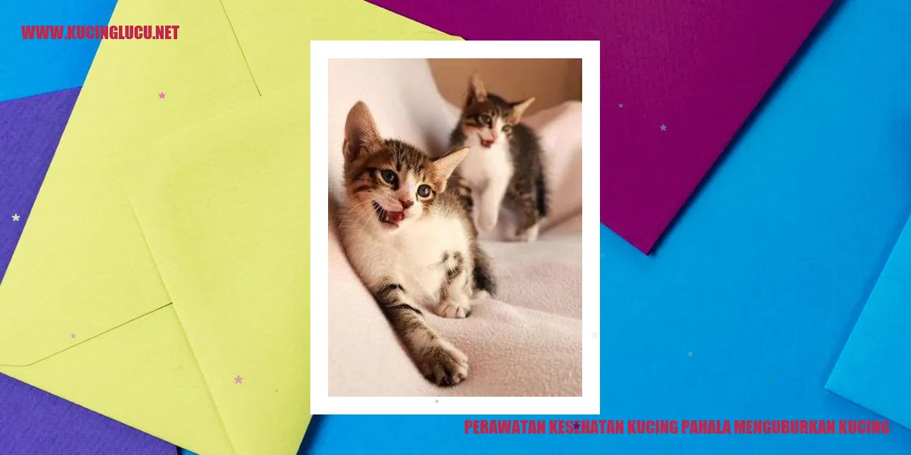 Perawatan Kesehatan Kucing