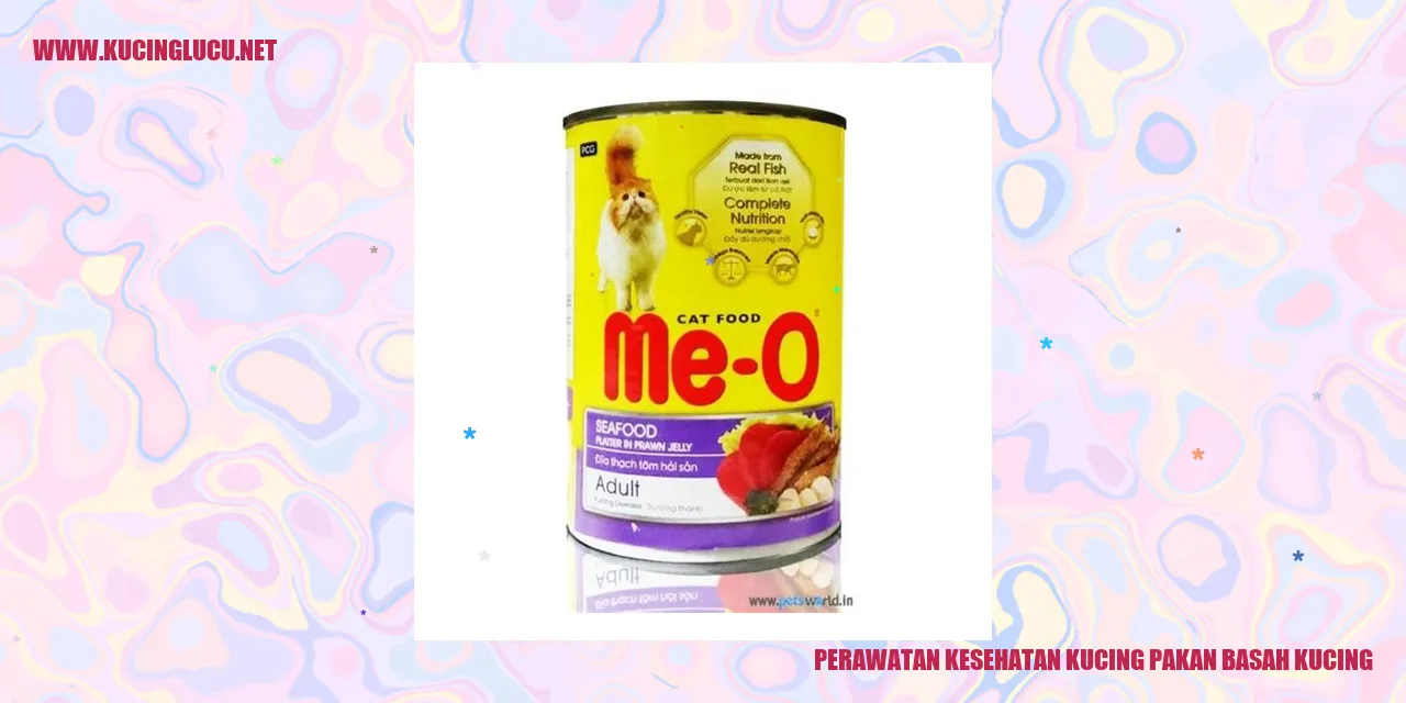 Kucing yang sehat