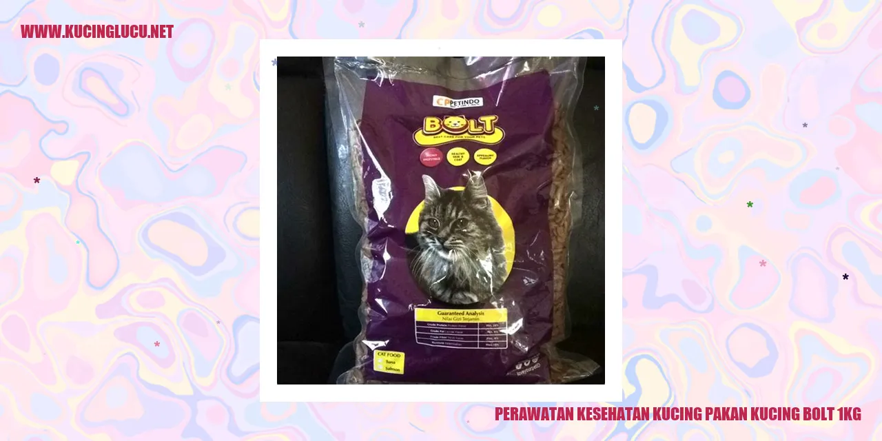 Perawatan Kesehatan Kucing