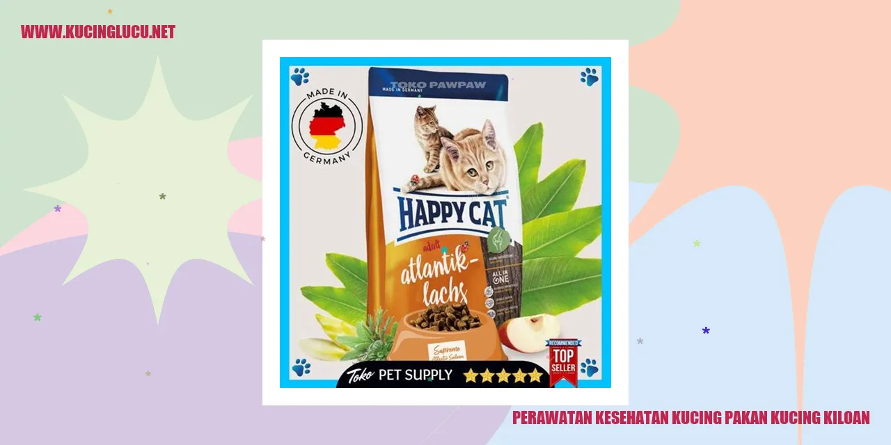 Perawatan Kesehatan Kucing pakan kucing kiloan