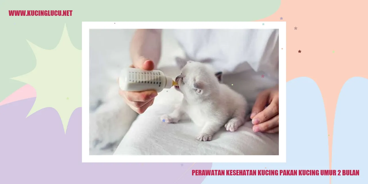 Perawatan Kesehatan Kucing