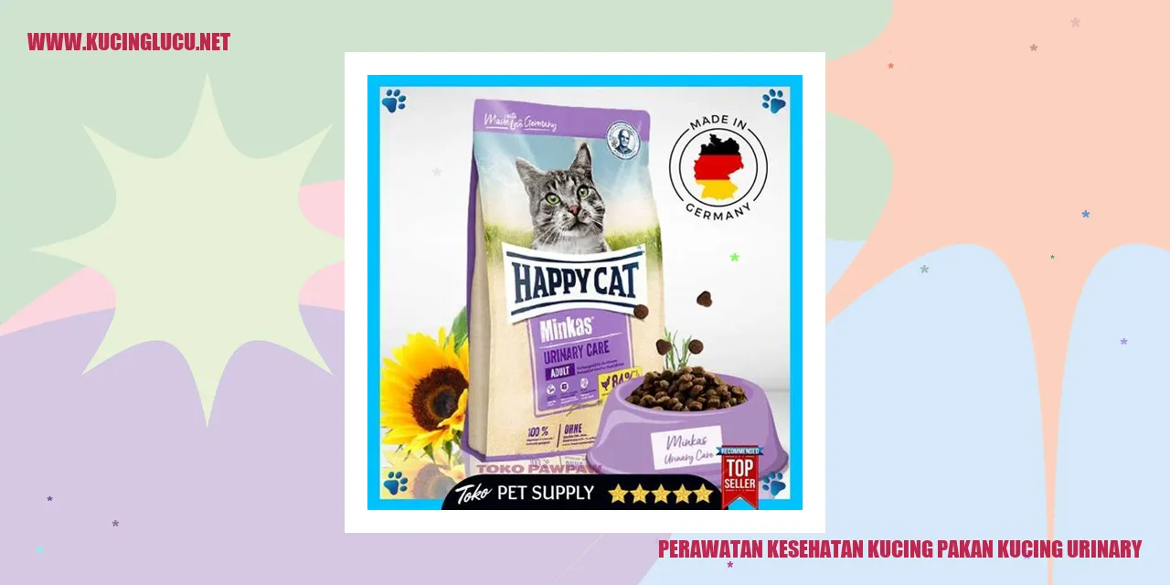Kucing dengan pakan kucing urinary