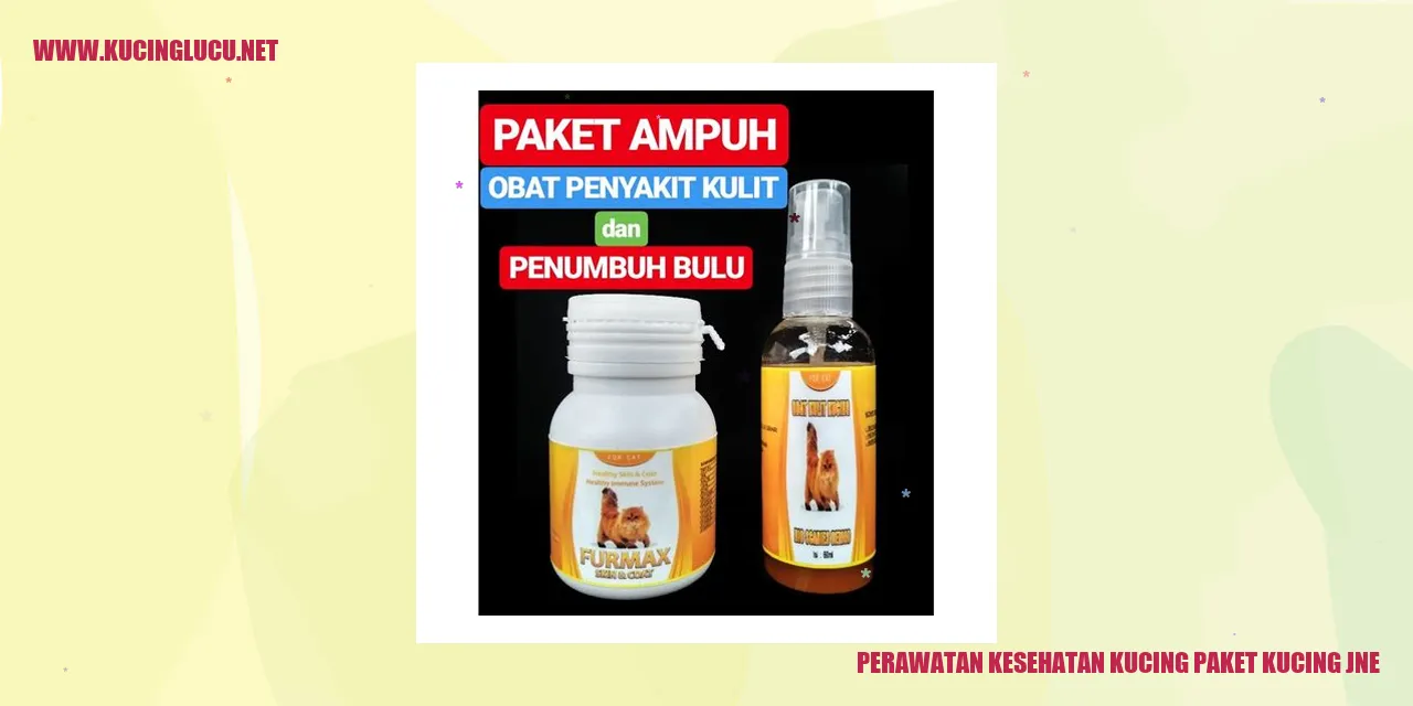 Perawatan Kesehatan Kucing