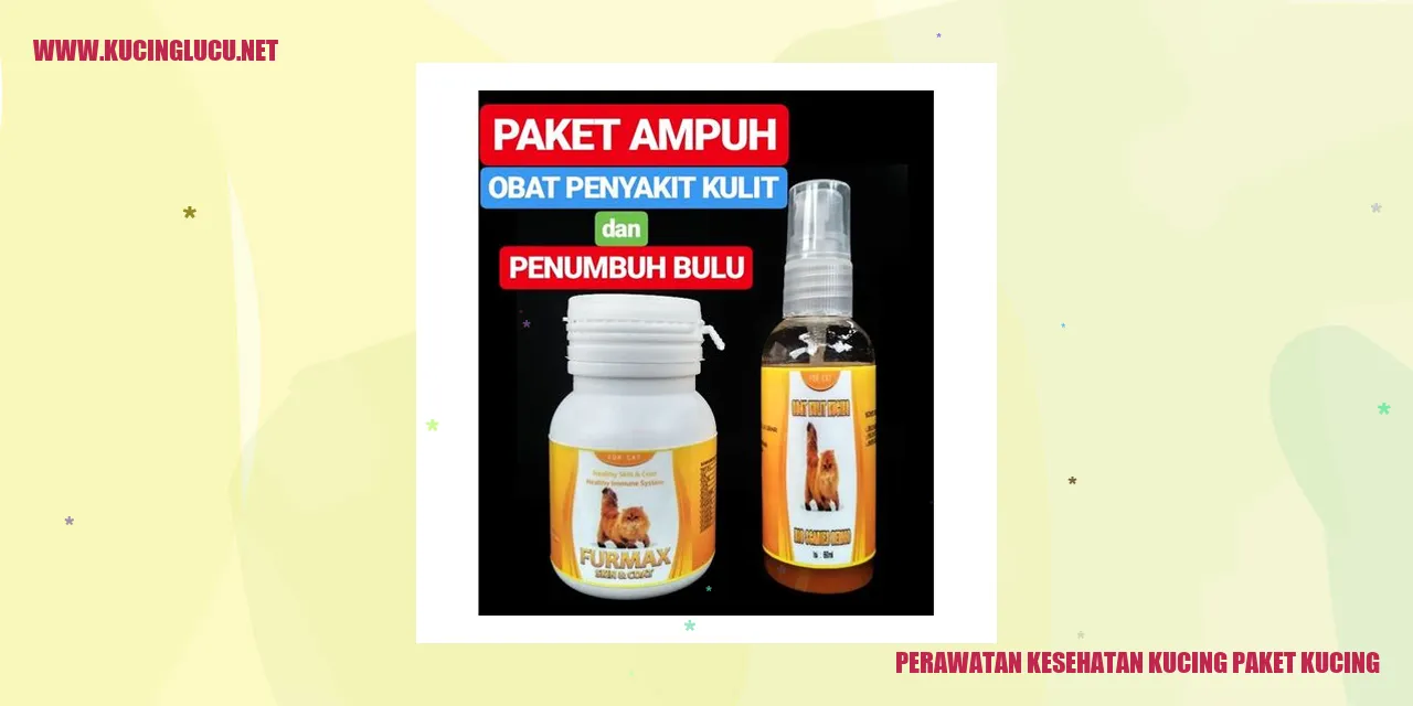 Gambar Kucing yang Sehat dan Bahagia