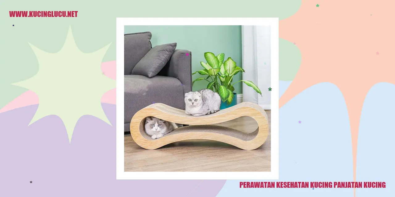 Perawatan Kesehatan Kucing Panjatan Kucing