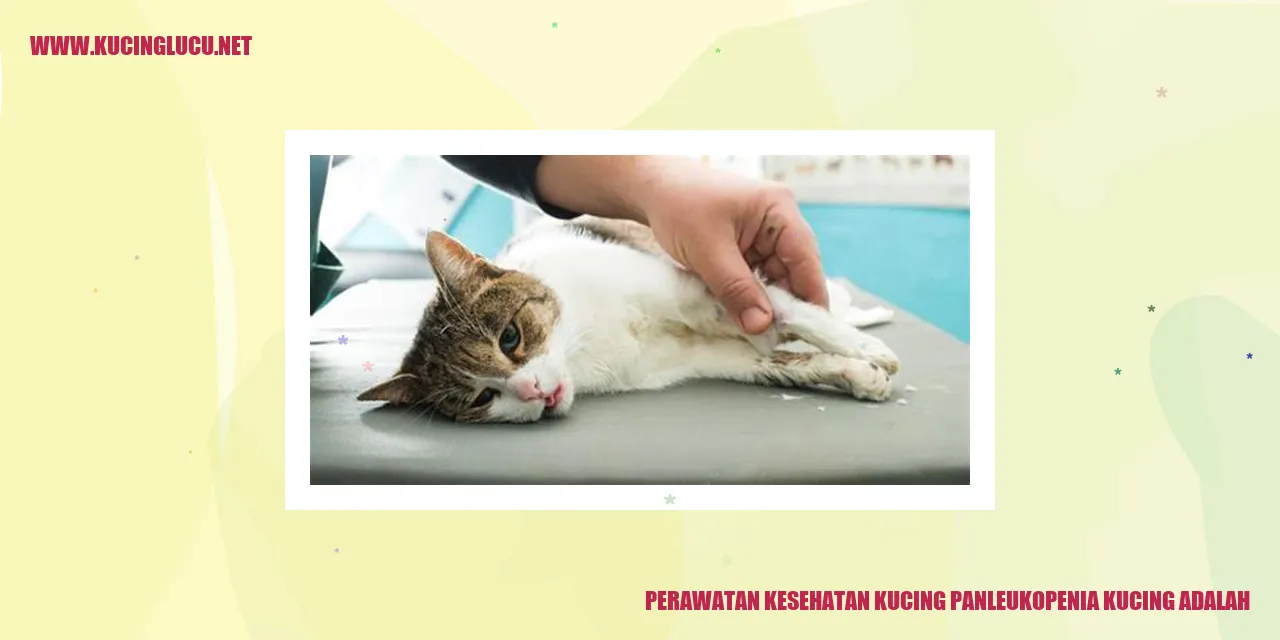 Perawatan Kesehatan Kucing Panleukopenia Kucing