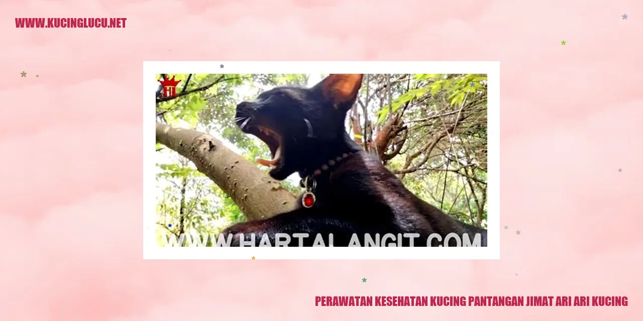 Perawatan Kesehatan Kucing