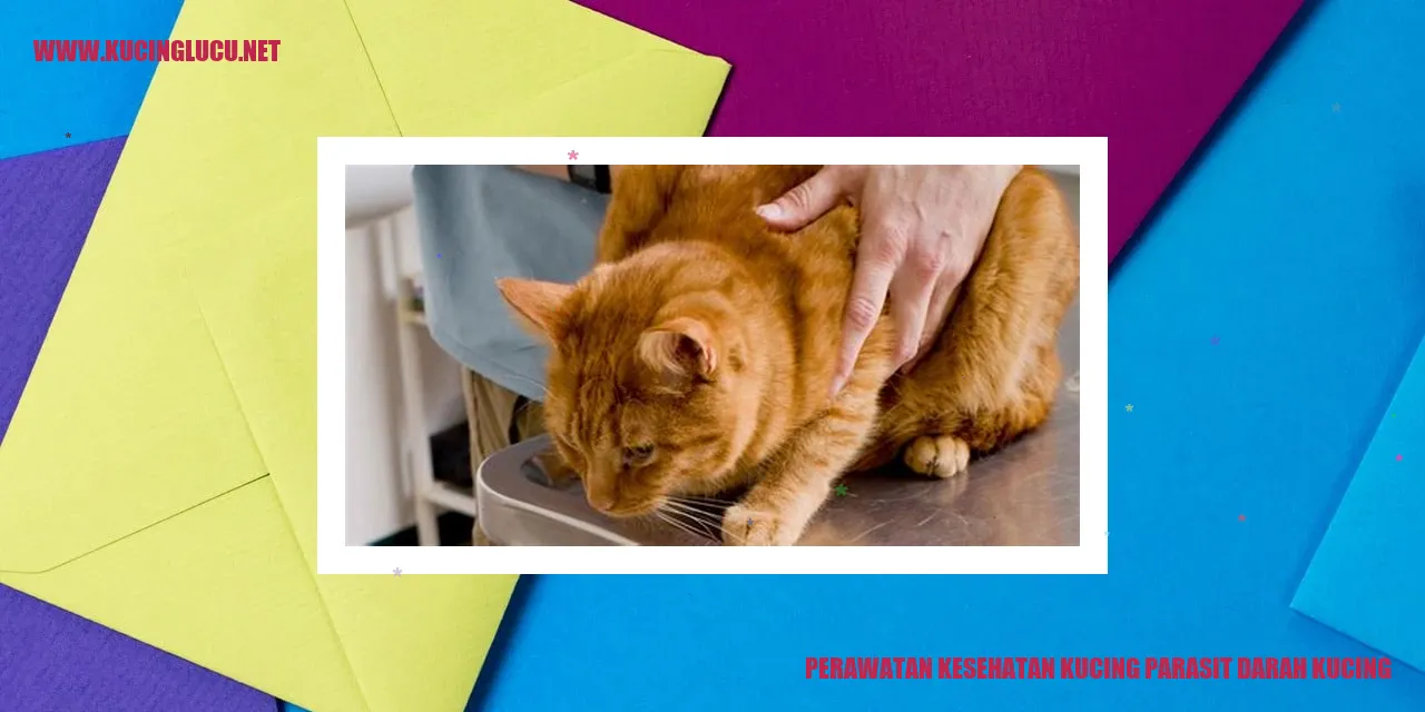 Perawatan Kesehatan Kucing parasit darah kucing