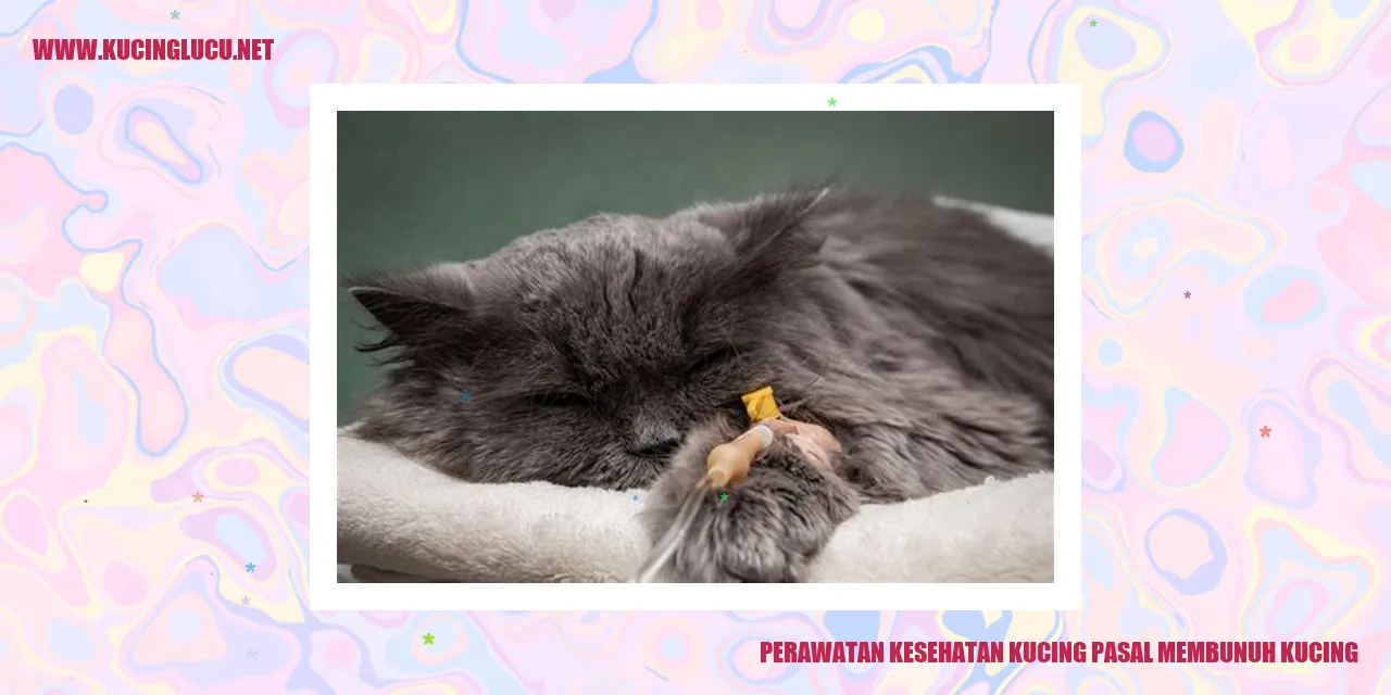 Perawatan Kesehatan Kucing