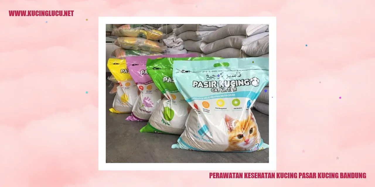 Perawatan Kesehatan Kucing