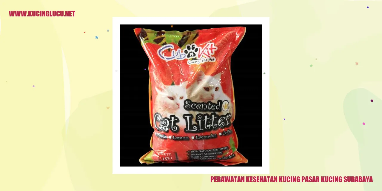 Perawatan Kesehatan Kucing