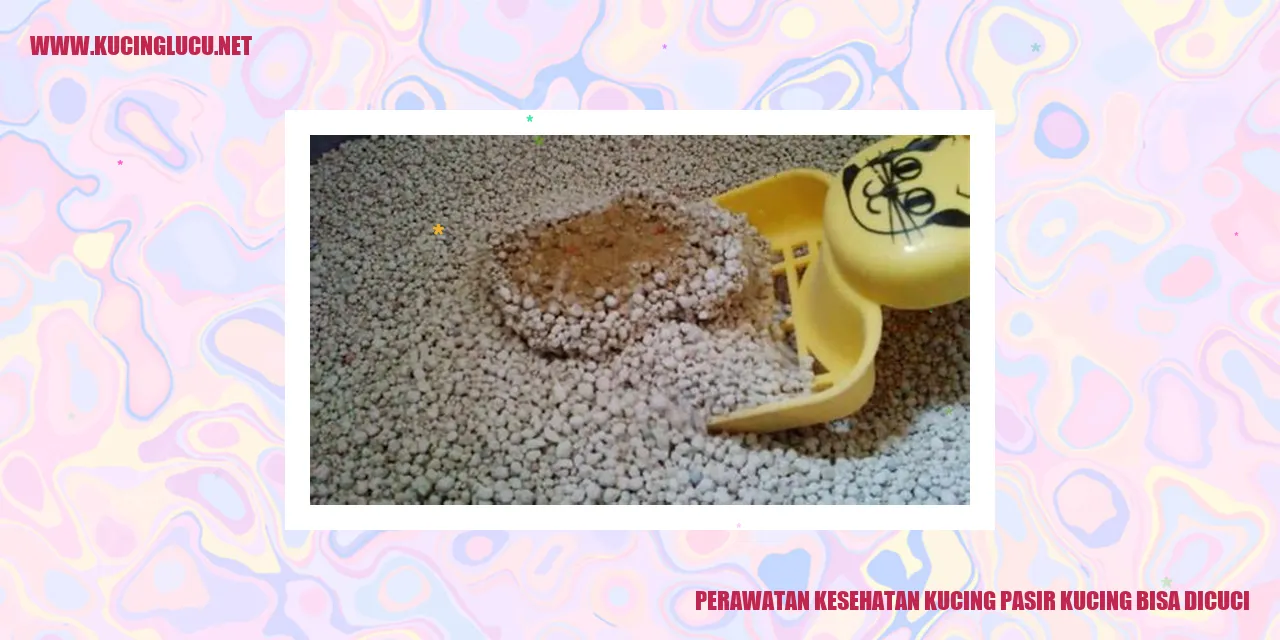 Gambar Kucing dan Pasir Kucing
