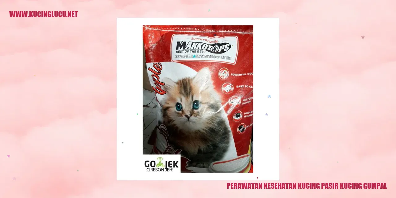 Perawatan Kesehatan Kucing Pasir Kucing Gumpal