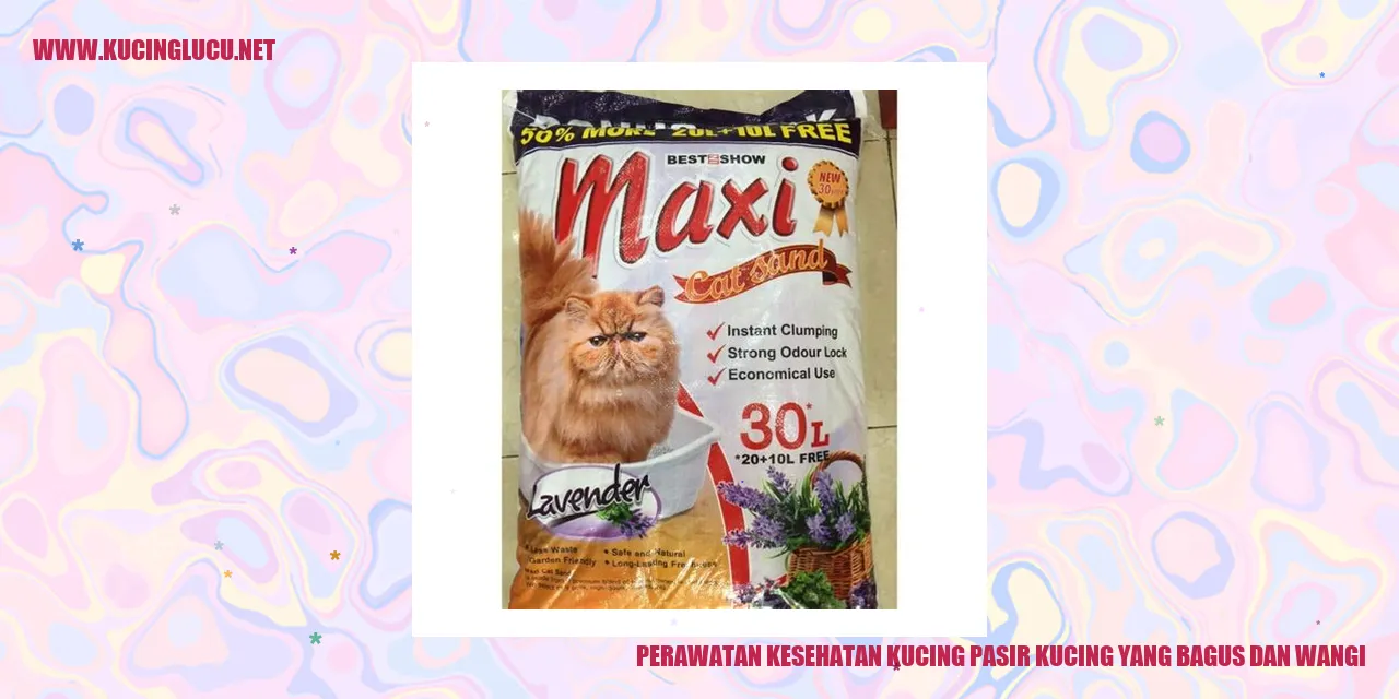 Perawatan Kesehatan Kucing