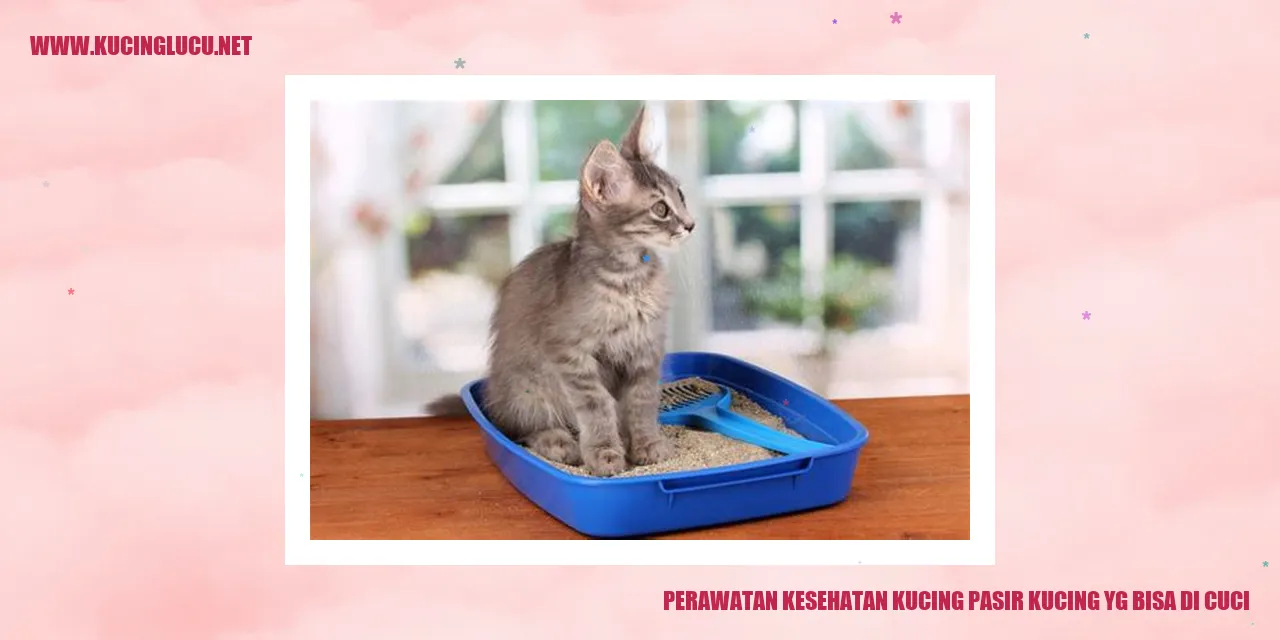 Perawatan Kesehatan Kucing Pasir Kucing yang Bisa Dicuci