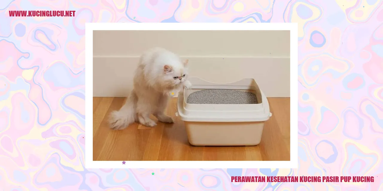 Perawatan Kesehatan Kucing pasir pup kucing